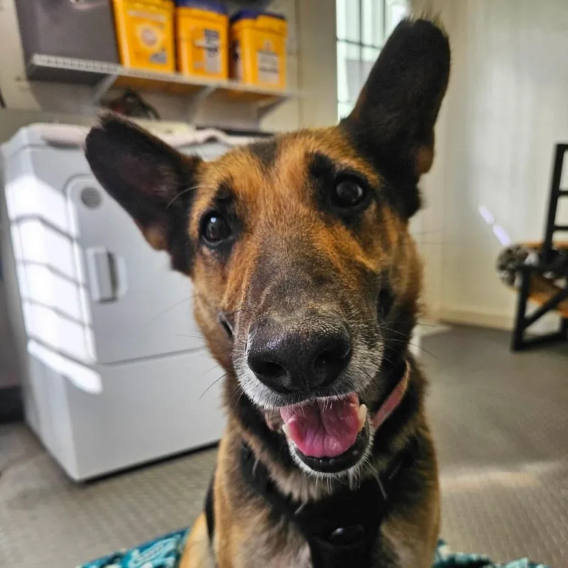 Miss November thumbnail 4