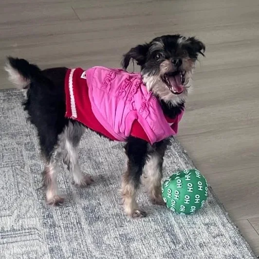 Minnie