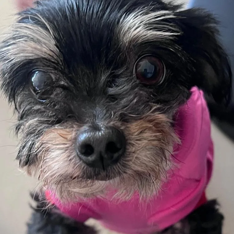 Minnie thumbnail 2