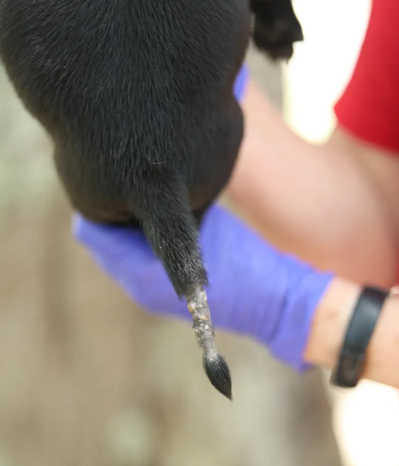 Blake thumbnail 2