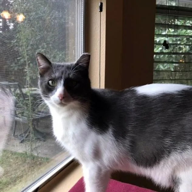 Sprinkles thumbnail 2