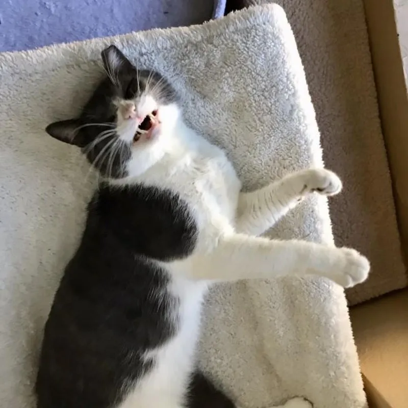 Sprinkles thumbnail 3