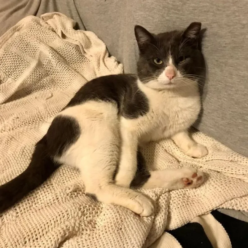 Sprinkles thumbnail 4