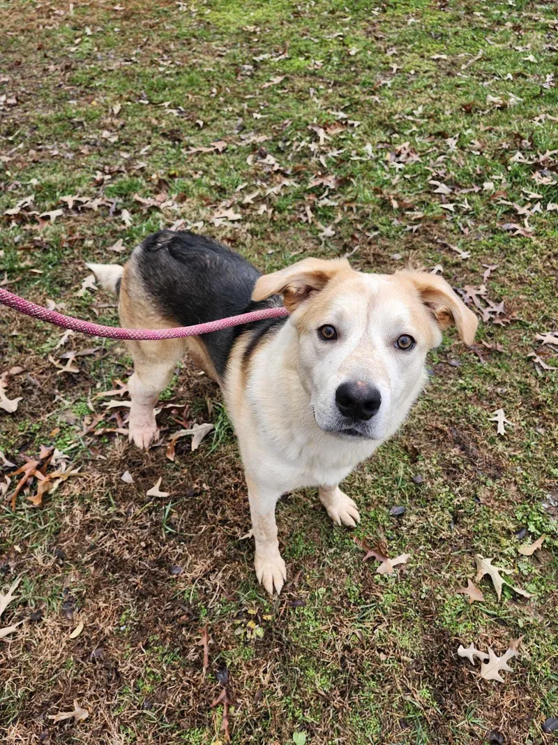 Barkley Special Needs thumbnail 2