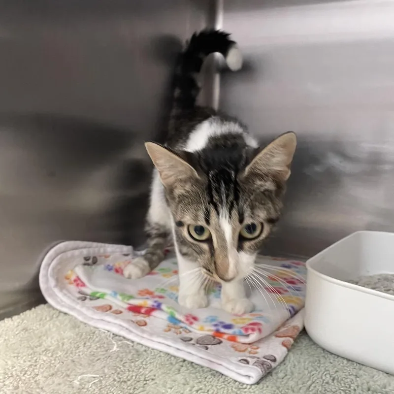 Willadeene thumbnail 2