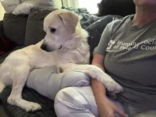 George