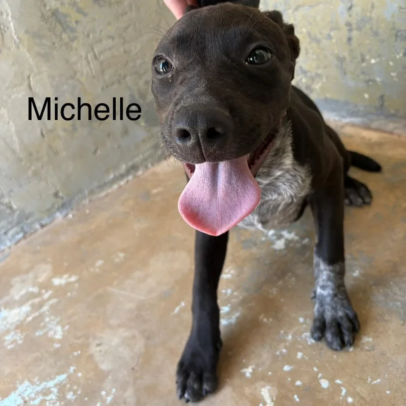 Michelle