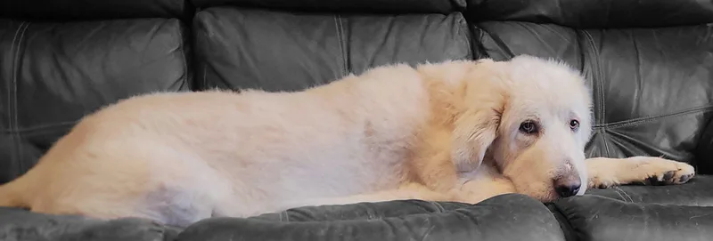 Preacher thumbnail 5