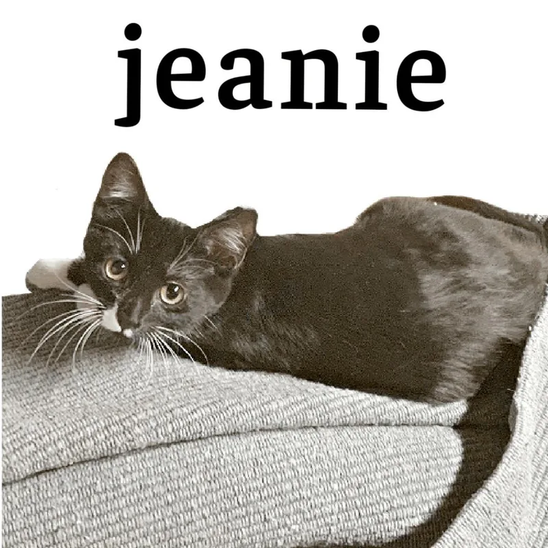 Jeanie