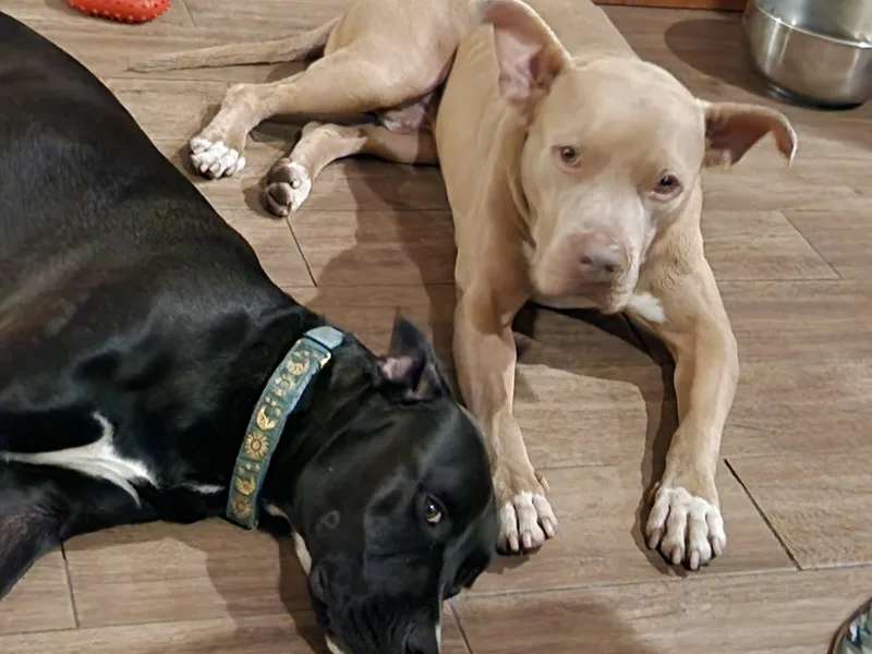 Finnjoyful  Affectionate And thumbnail 2