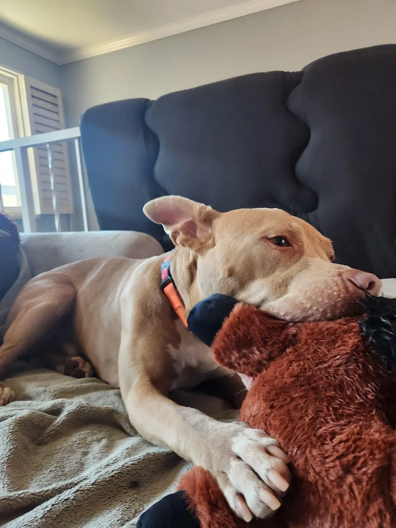 Finnjoyful  Affectionate And thumbnail 6