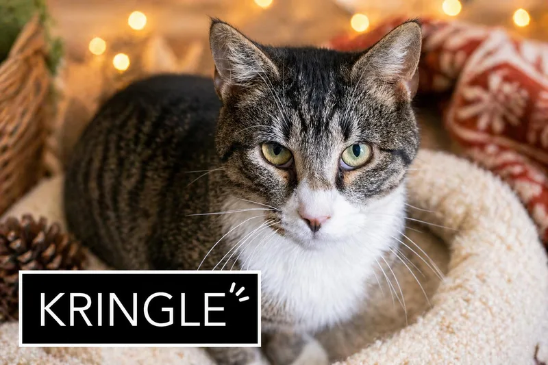 Kringle thumbnail 2