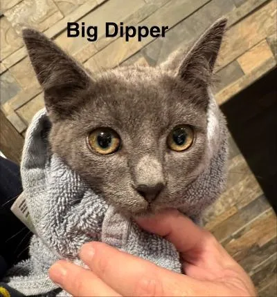 Big Dipper thumbnail 2