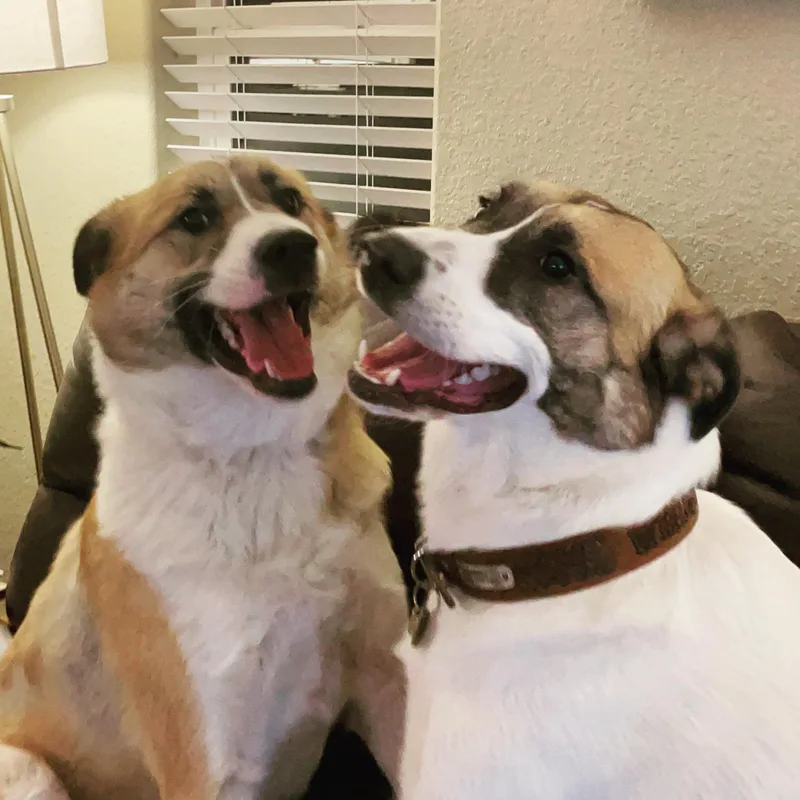 Whiskey & Brewski thumbnail 5
