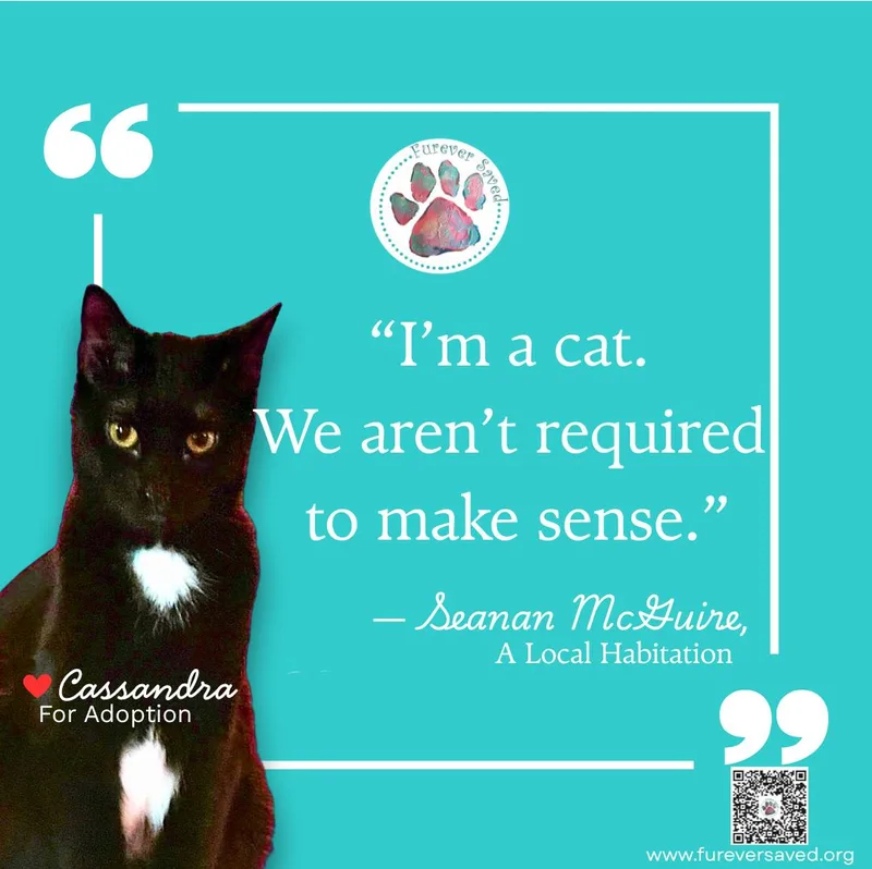 Cassandra thumbnail 2