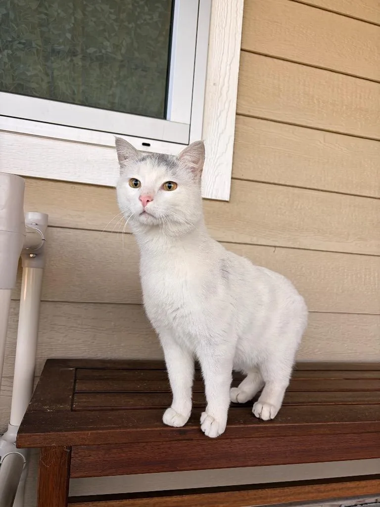 Pretty Boy thumbnail 2