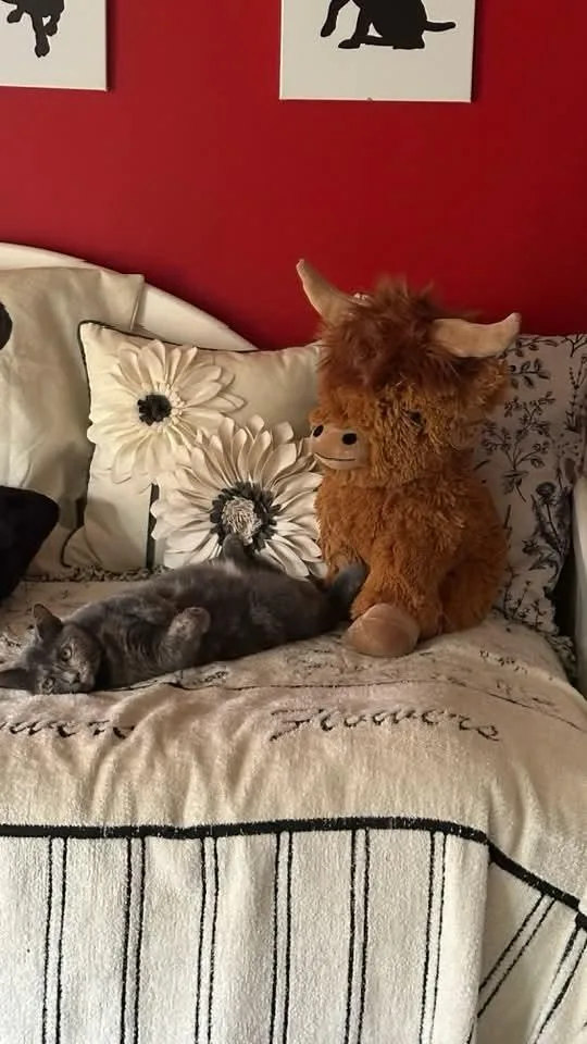 Mariah Hairy thumbnail 2