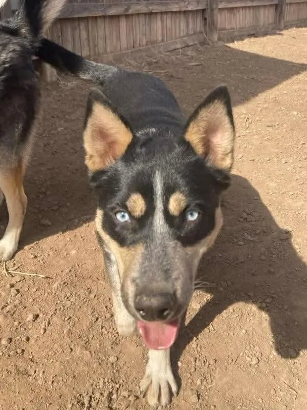 Maribell thumbnail 2