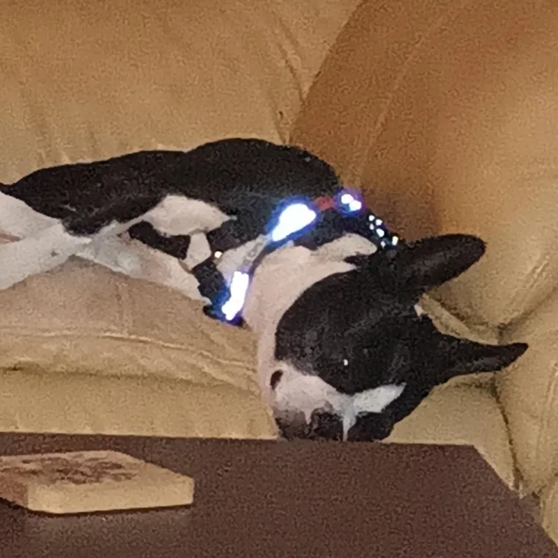 Dixy