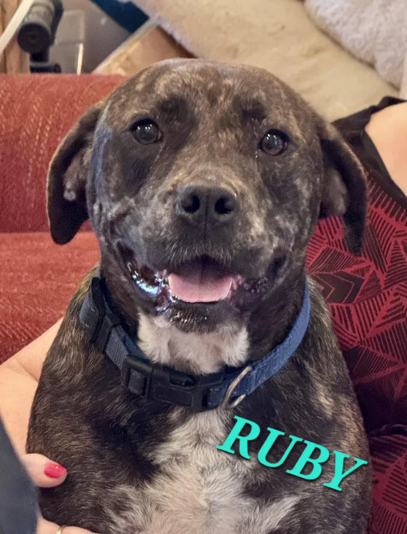 Ruby thumbnail 2