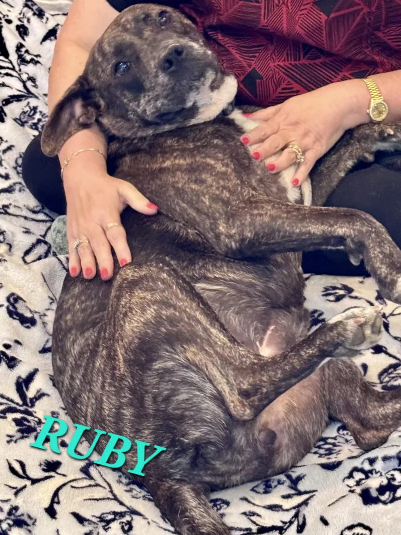 Ruby thumbnail 6