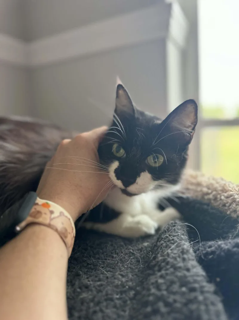 Precious thumbnail 2