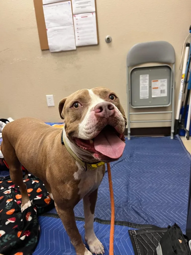 Tinkerbell thumbnail 2