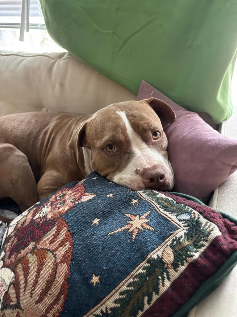 Tinkerbell thumbnail 3