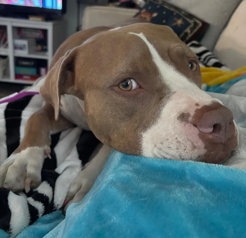 Tinkerbell thumbnail 4