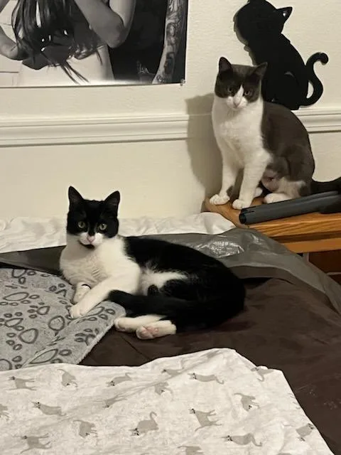 Berlin And Missy