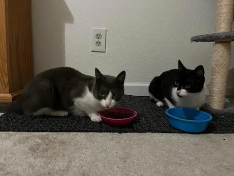Berlin And Missy thumbnail 4