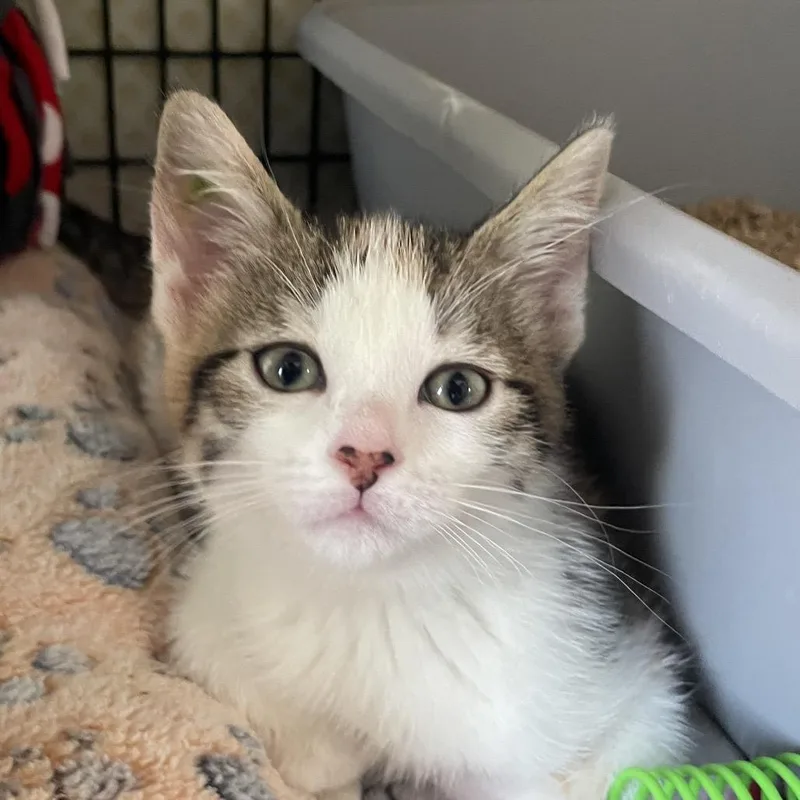 Jeremy Hansen thumbnail 2