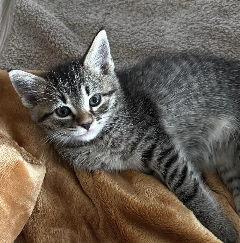 Winnie