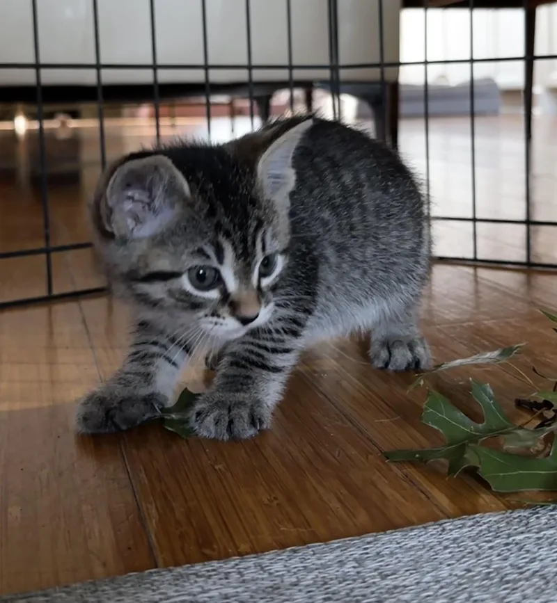 Winnie thumbnail 2
