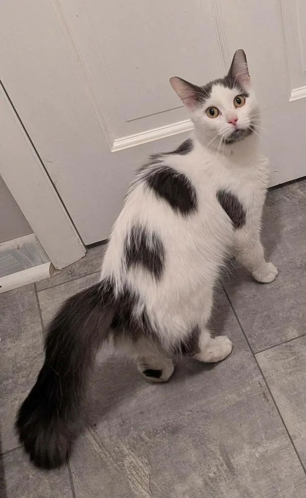 Florabelle thumbnail 2