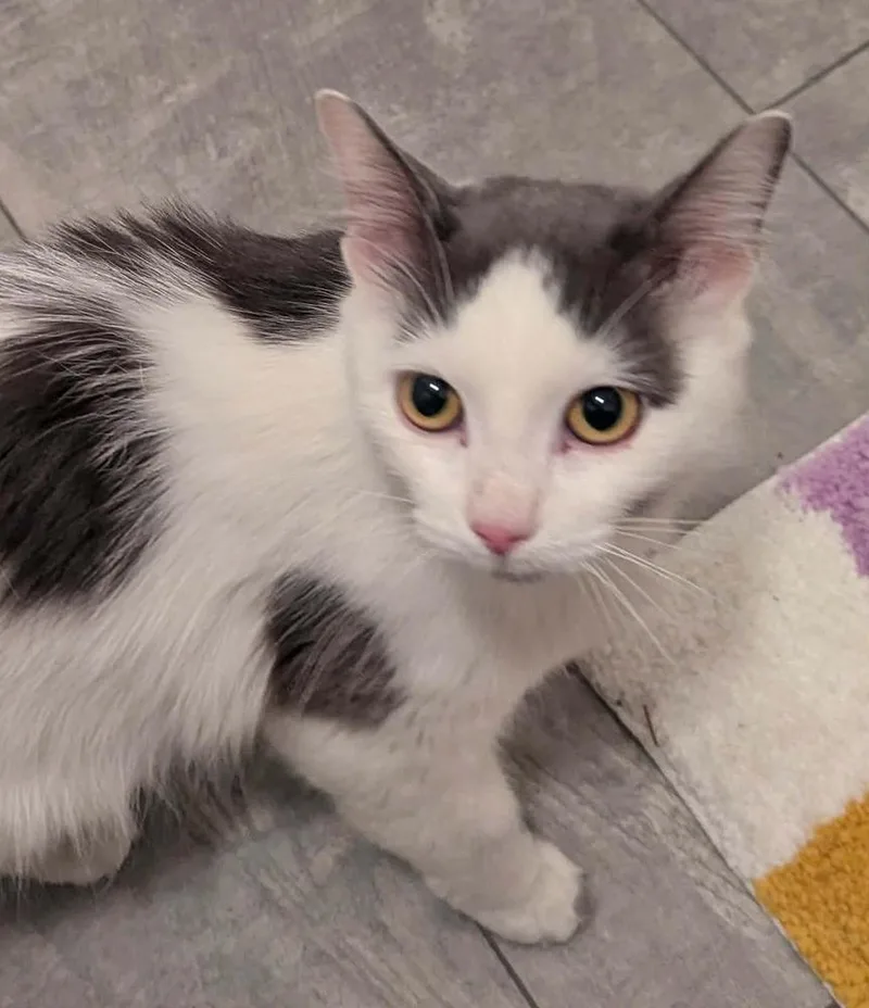 Florabelle thumbnail 3