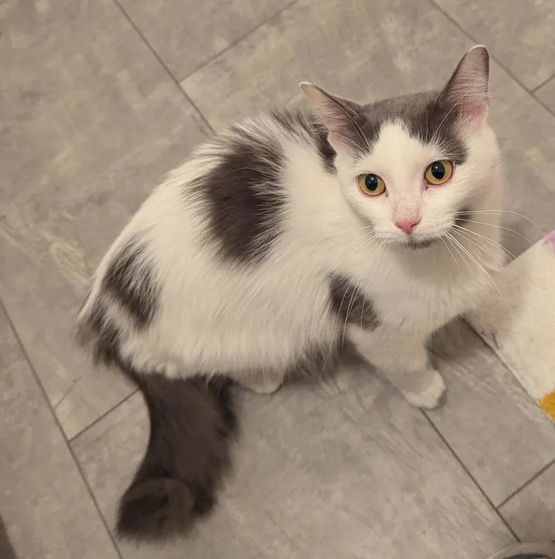 Florabelle thumbnail 4