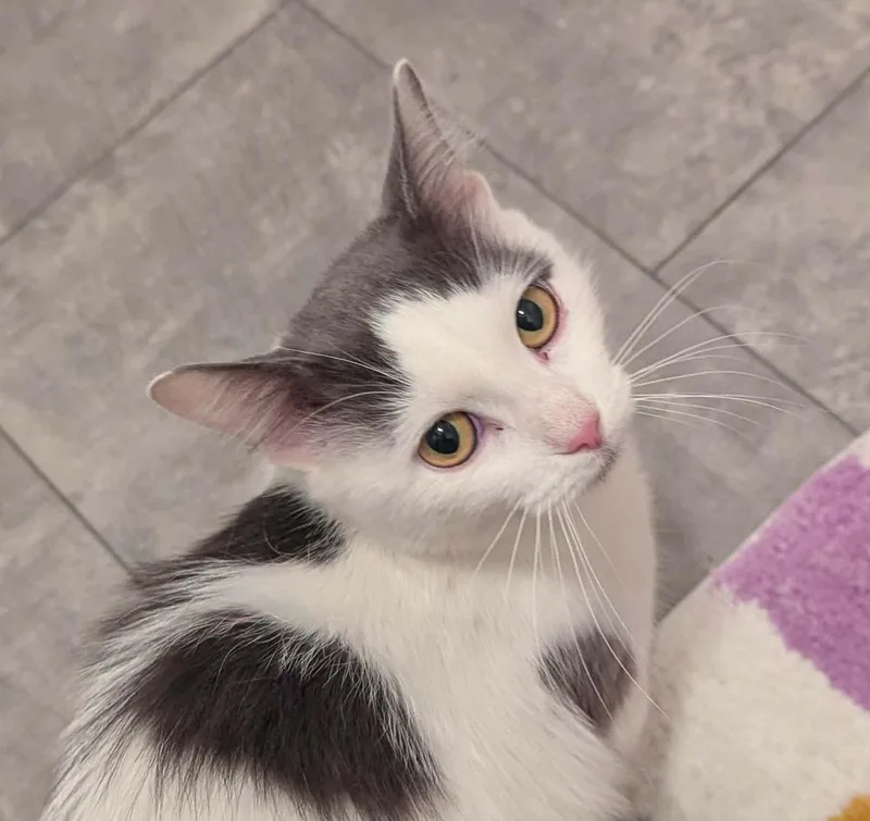 Florabelle thumbnail 6