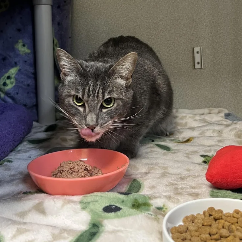 Rocky Road thumbnail 5