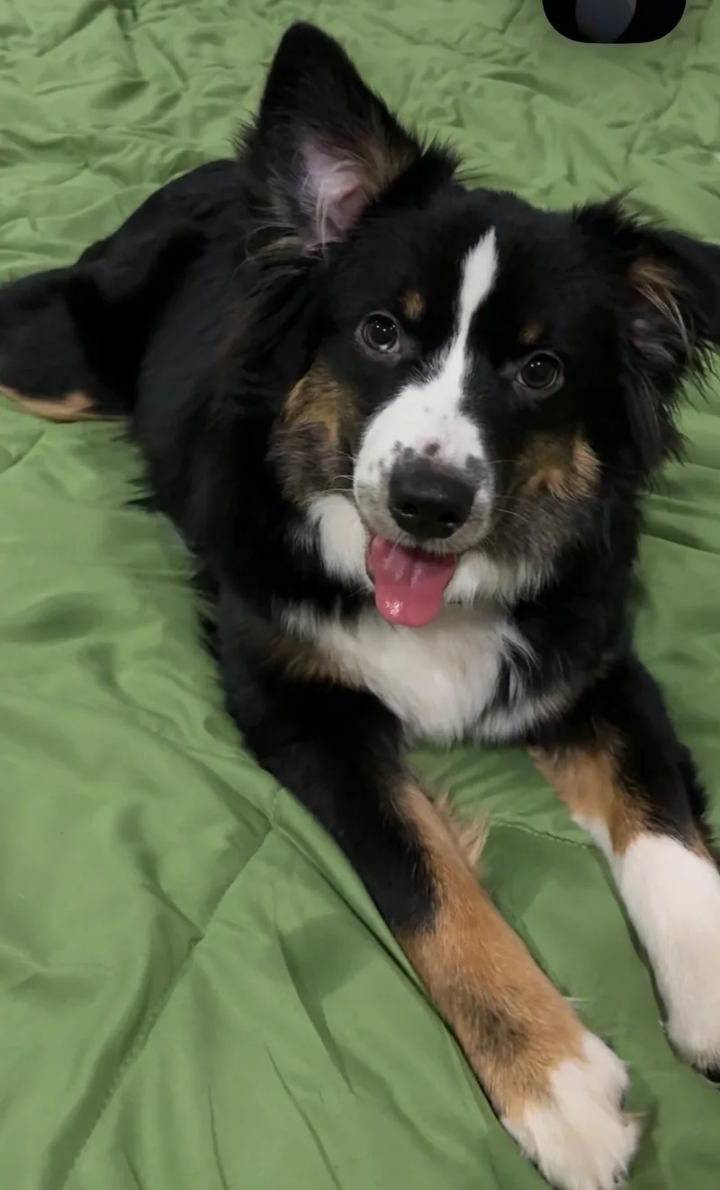 Freya