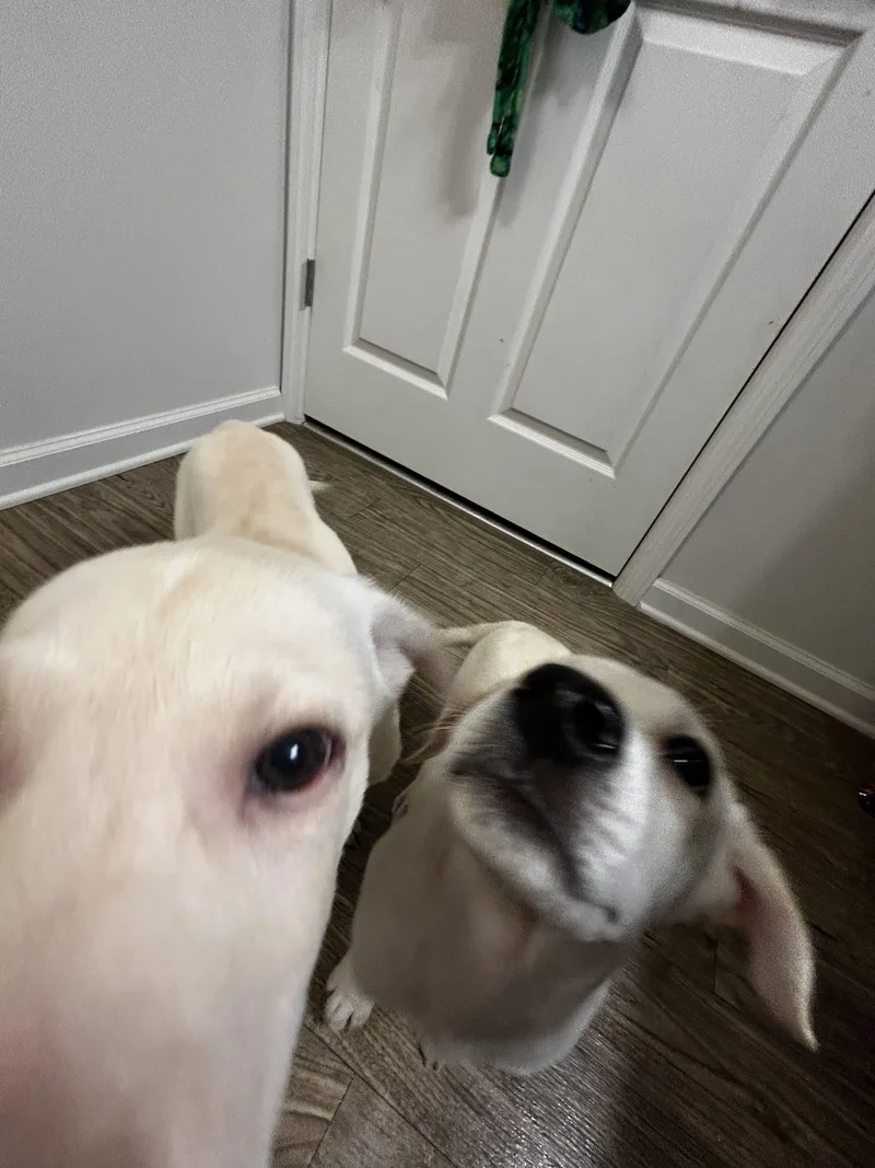 Jake thumbnail 2