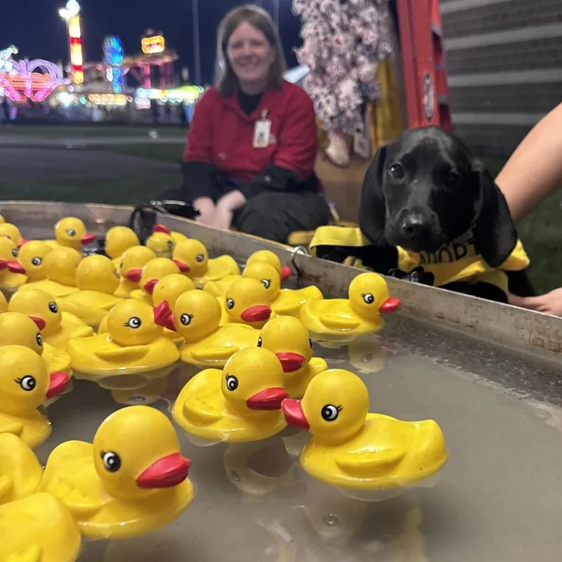 Funnel Cake thumbnail 3