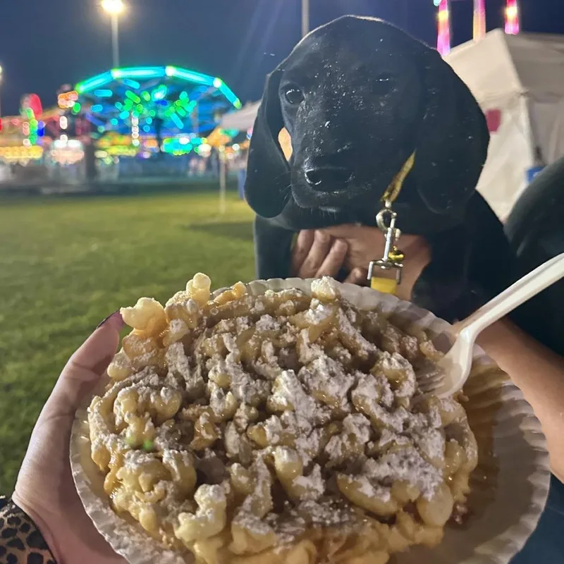 Funnel Cake thumbnail 6