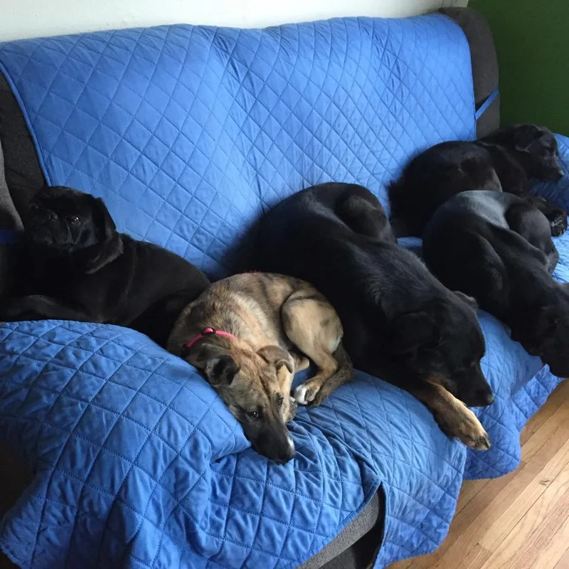 Papa Murphy thumbnail 5