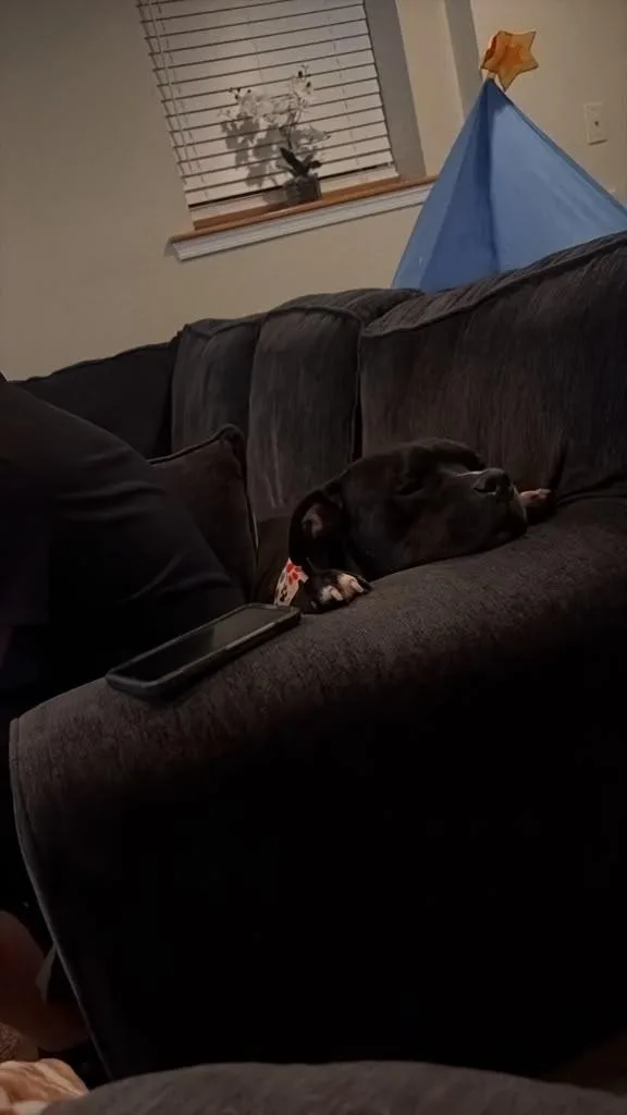 Aiden the biggie boy thumbnail 5