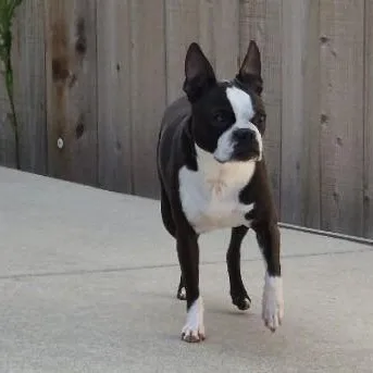 Daisy In Co thumbnail 5
