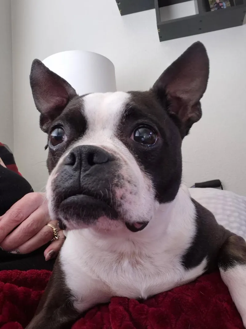 Daisy In Co thumbnail 6