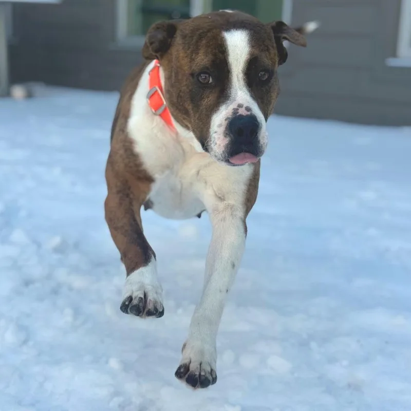 Cosmopolitan thumbnail 2