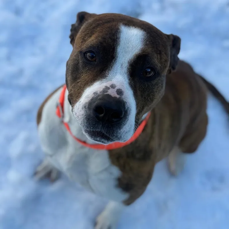 Cosmopolitan thumbnail 3