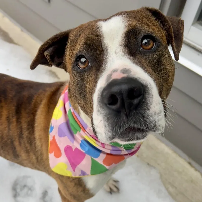 Cosmopolitan thumbnail 4